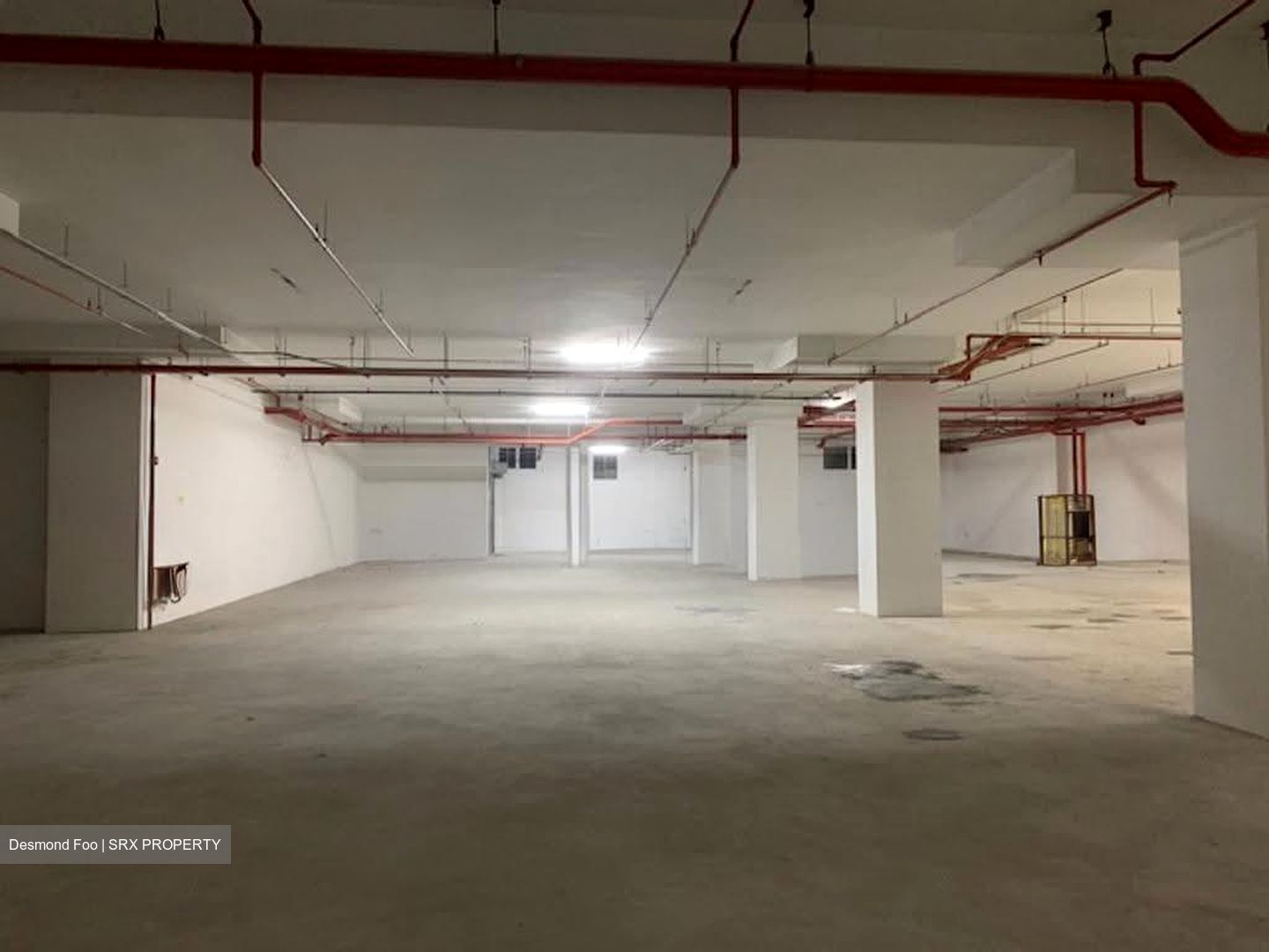 ELEMENT 14 (D19), Warehouse #618312401